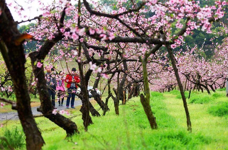 全国规划设计院排名