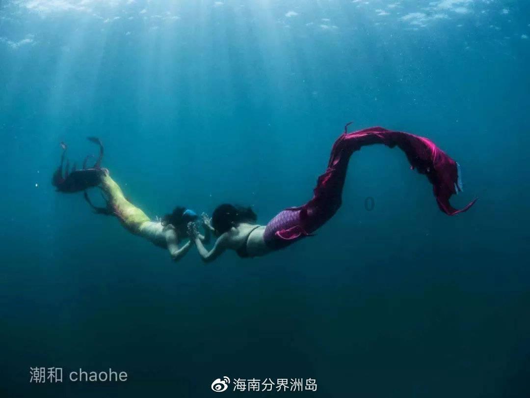 《幻兽帕鲁》炸蛋鸟捕获攻略
