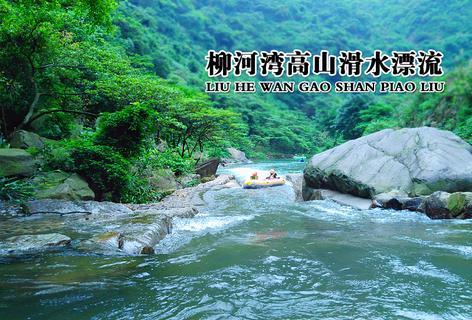 植物大战僵尸13