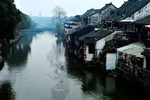 拯救巧虎4